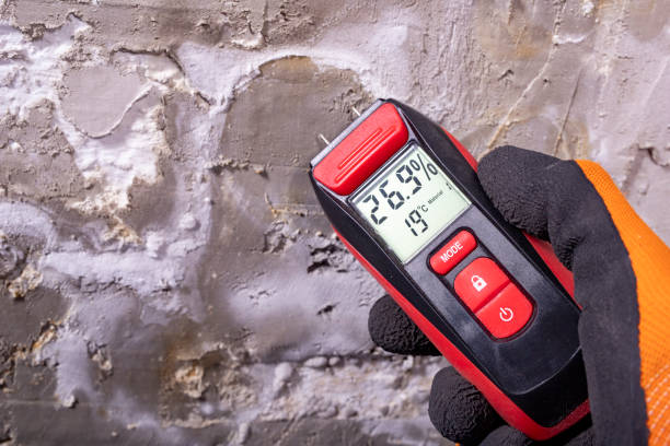 Best Air Quality Testing for Mold Spores  in Klamath Falls, OR